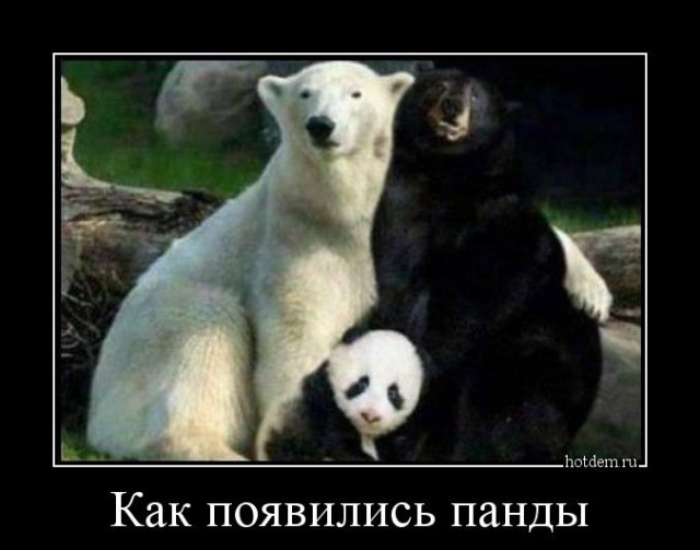 Картинки из сети, подборка на пятницу.