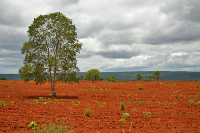 Гранд Каньон в США - древний карьер по промышленной добыче урана
