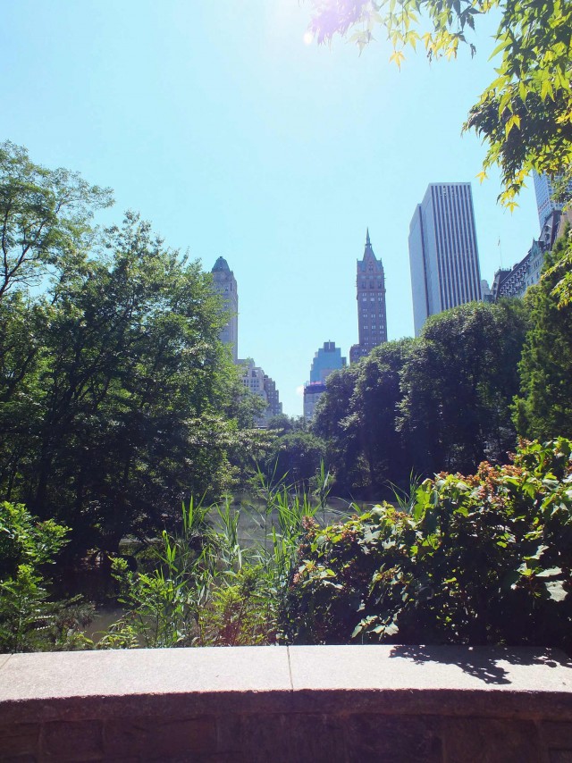 Как я побывал в США. Часть пятая. Заключительная