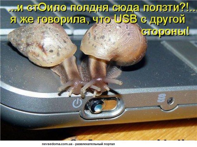 Картинки с надписями