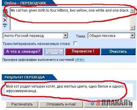 Политкорректность в переводчике