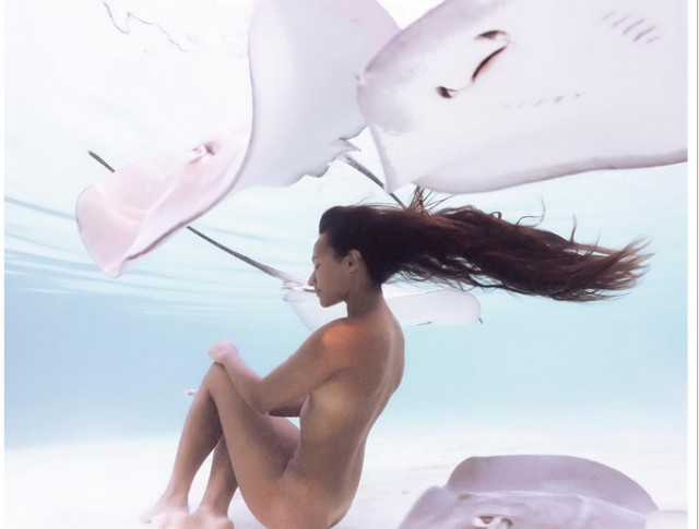 «Королева скатов» - Таитянская модель,плавающая обнаженной с морскими хищниками
