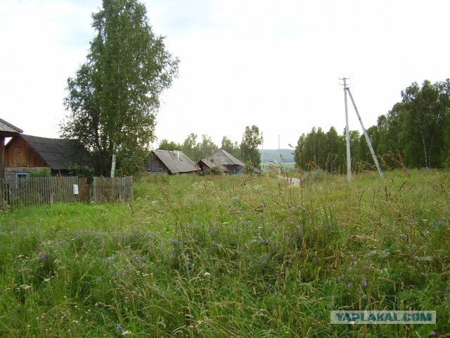 Мой родной сибирский поселок