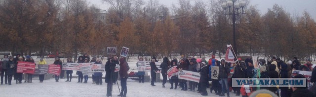 В Хабаровске сегодня начнётся суд над живодерками