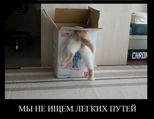 Житель Краснодара случайно снял жену с любовником, решив проследить за сыном