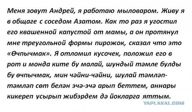 Коротко обо всех
