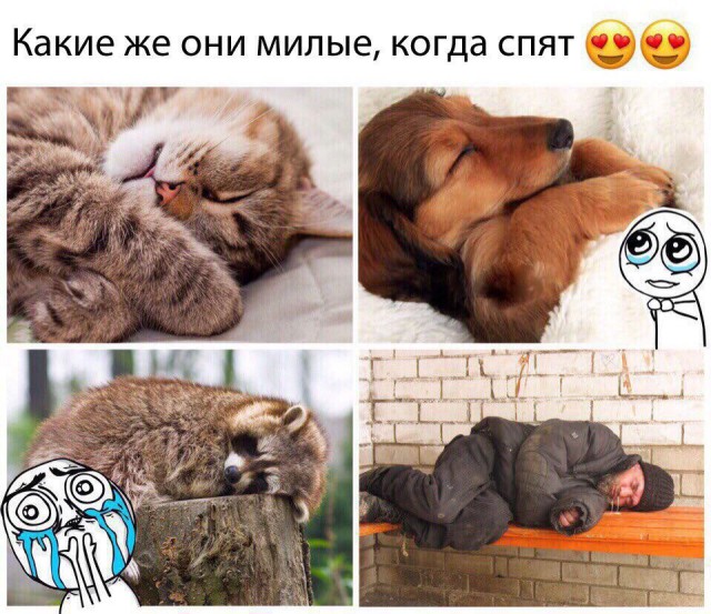 Позорно из соцсетей 4