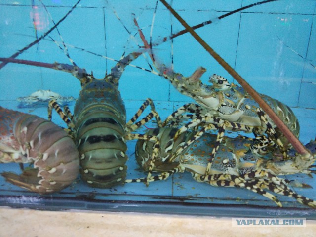 ХАЙНАНЬ. Записки путешественника. Часть первая.