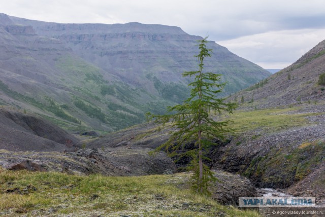 Плато Путорана