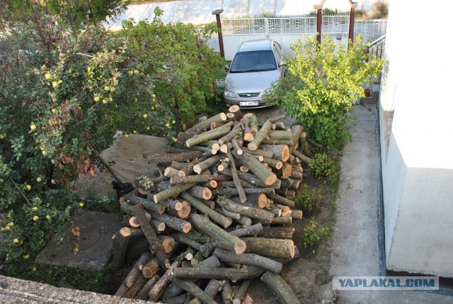 На дворе дрова, а мы без колуна