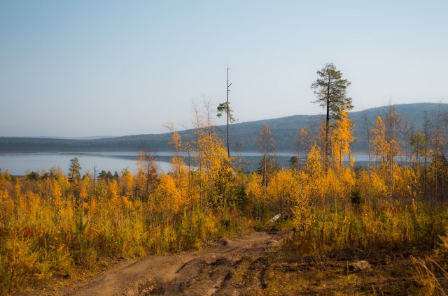 Осенняя тайга