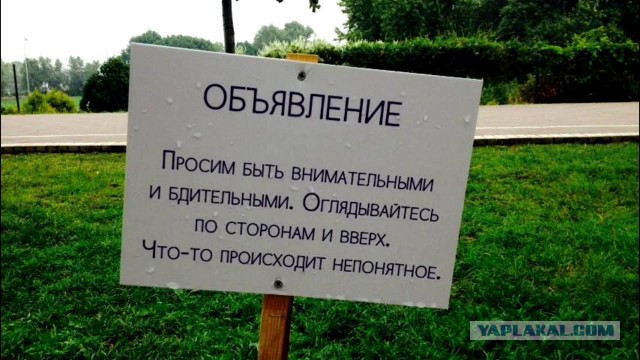 Тётя, я здесь не работаю!