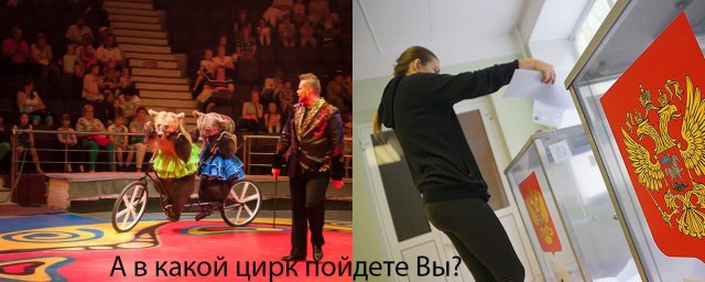 Элла Памфилова: "Голосование по каждой поправке Конституции отдельно технологически немыслимо"
