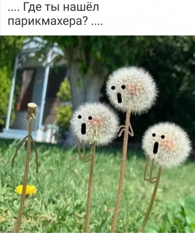 Бредзона 02.05.20