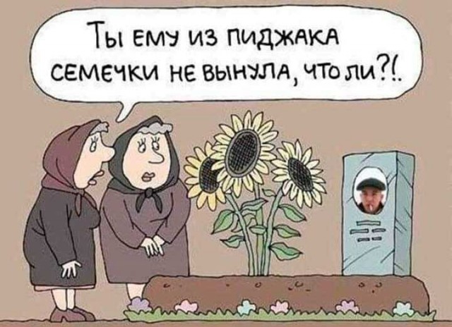 Немного картинок для настроения 112