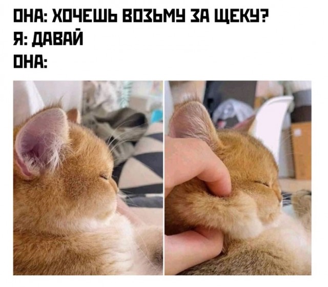 Картинки 11.02