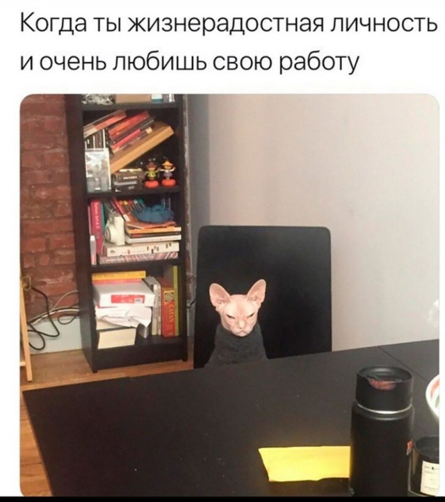 Весёлый полтишок 13.02