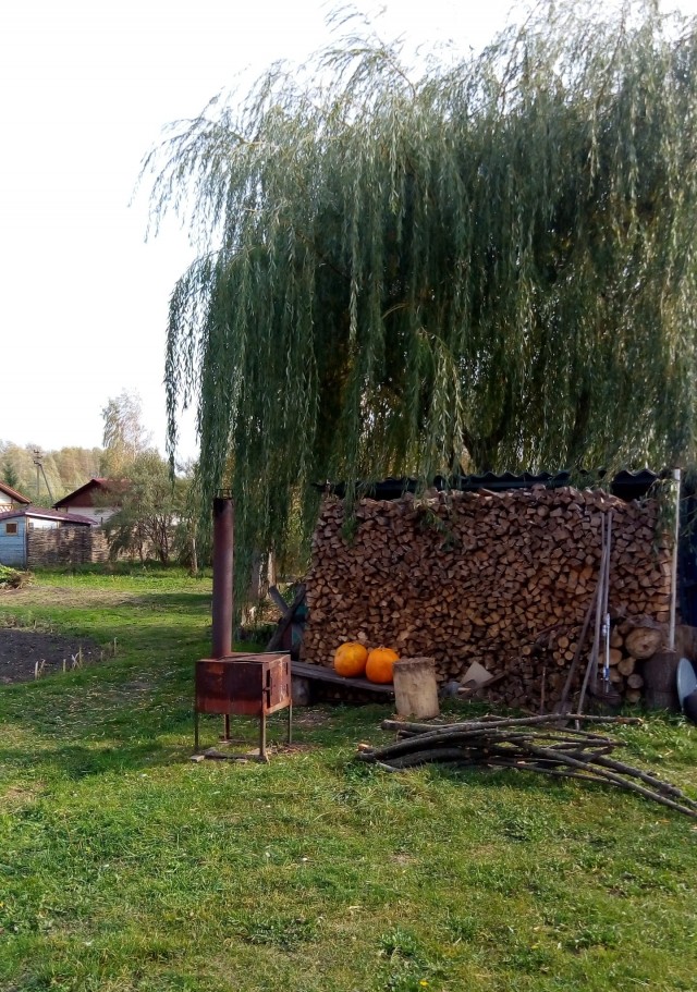 Последняя картинка в вашей Галерее/Загрузках