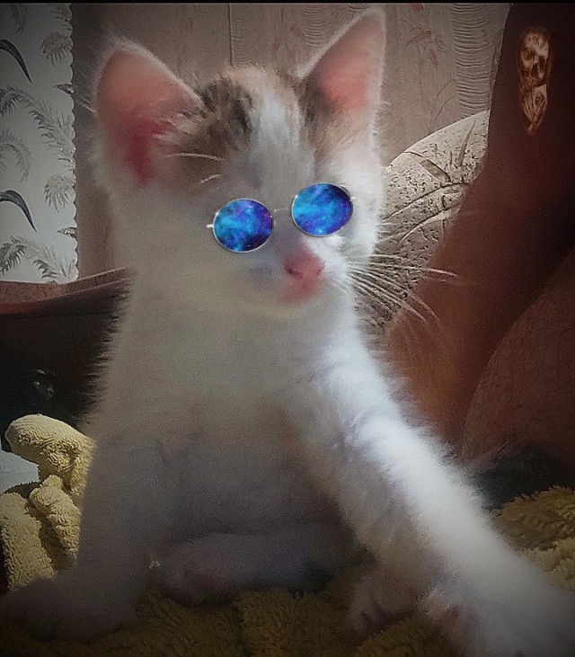 Новая хозяйка...