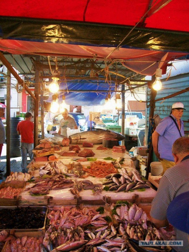 Кулинарная общалка