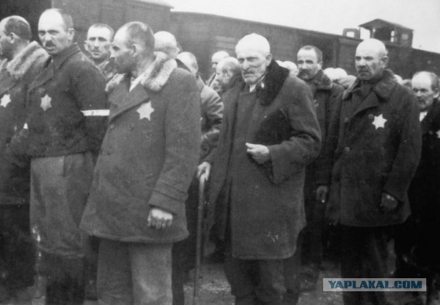 Кредит на свободу: как изменится общество в Китае после запуска системы оценки поведения граждан
