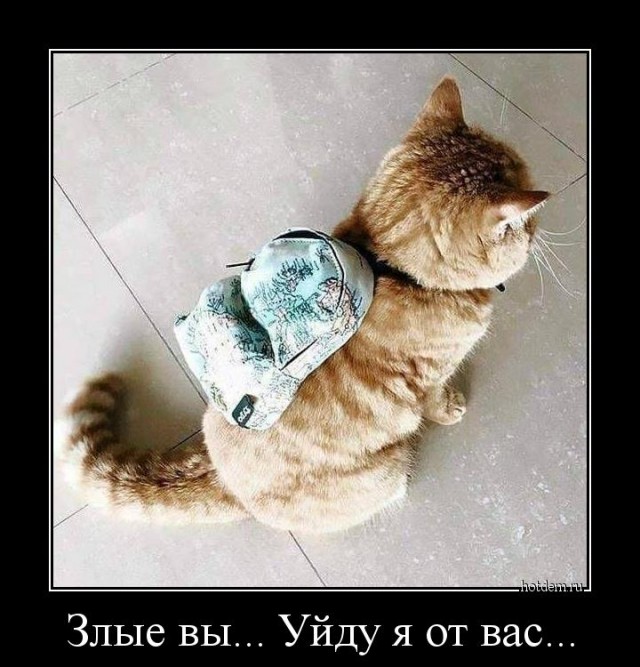 Ответка прилетела