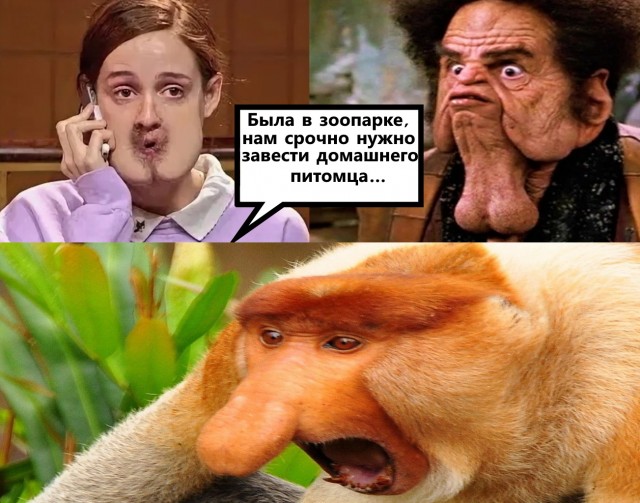 Юмор в картинках и без 21.11.2022