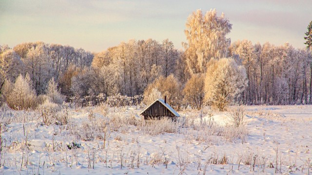 Снег и мороз в деревне
