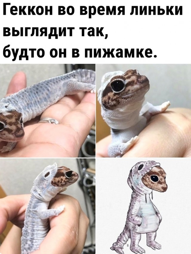 Так себе картинки 02.03.23
