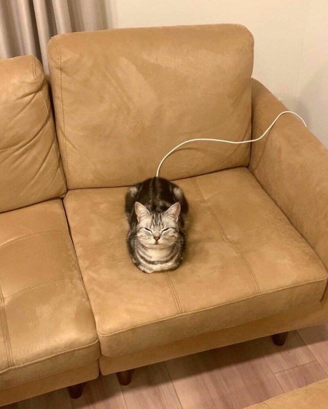 Подборка интересных и прикольных фото из Сети 01.04.23