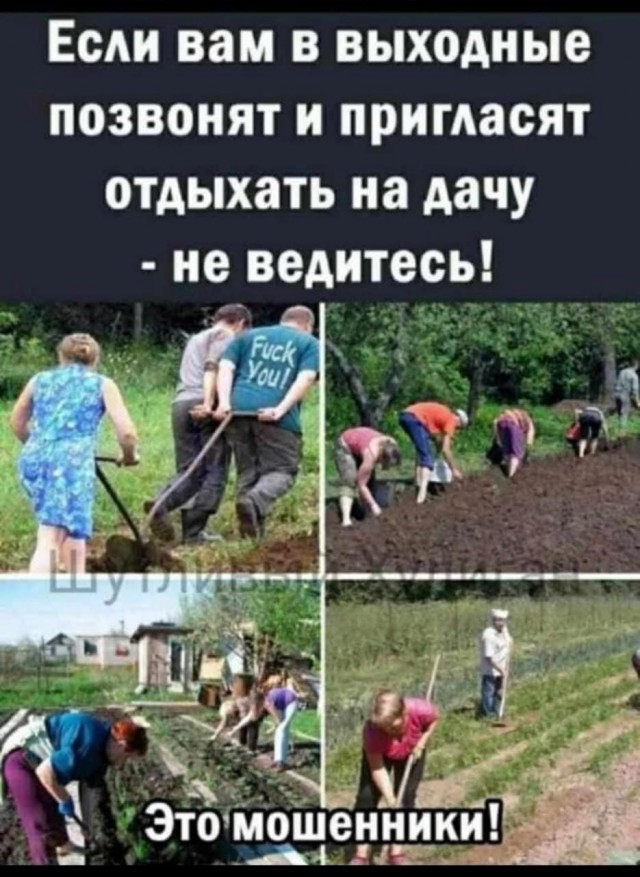 "Ленивая" невестка