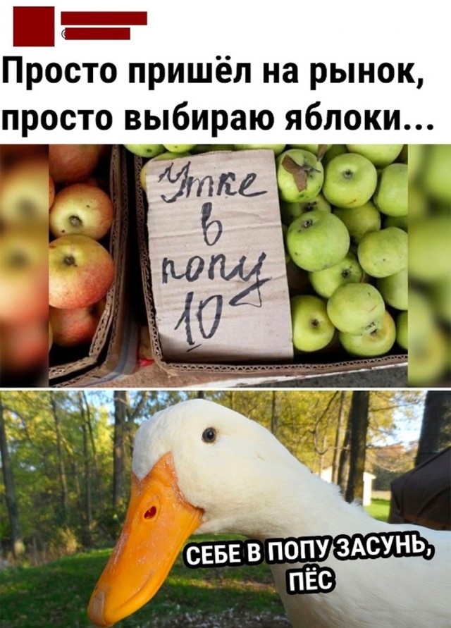 Так себе картинки 16.06.23