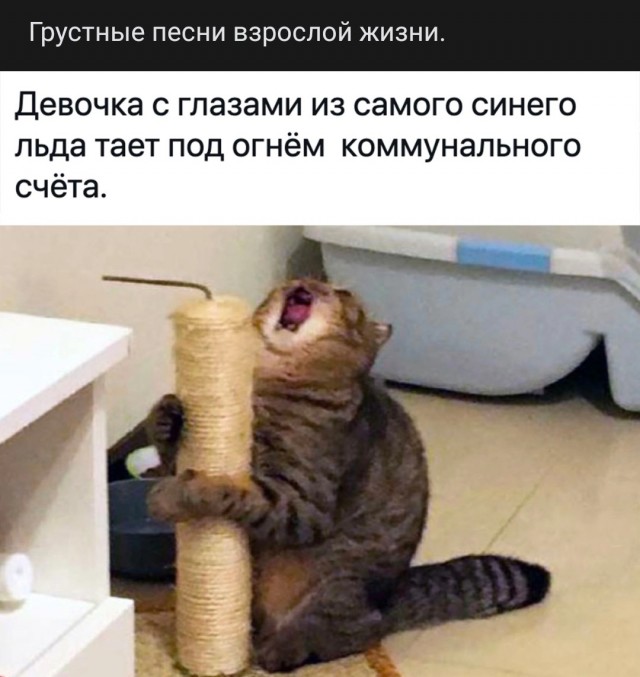 Мужики, одумайтесь! Памятка одинокому мужчине при переезде из города в деревню