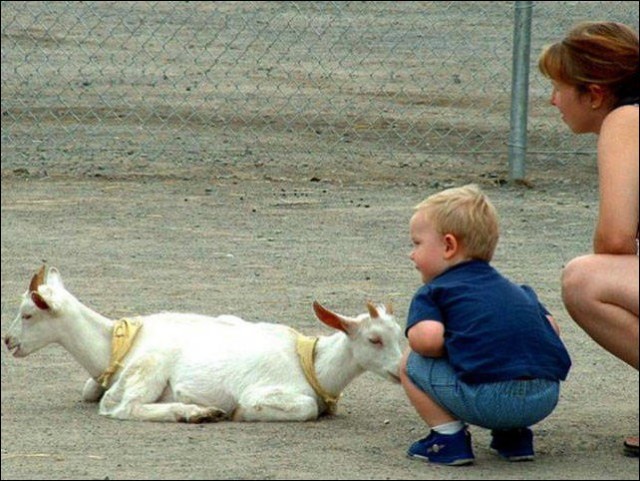 Показалось...