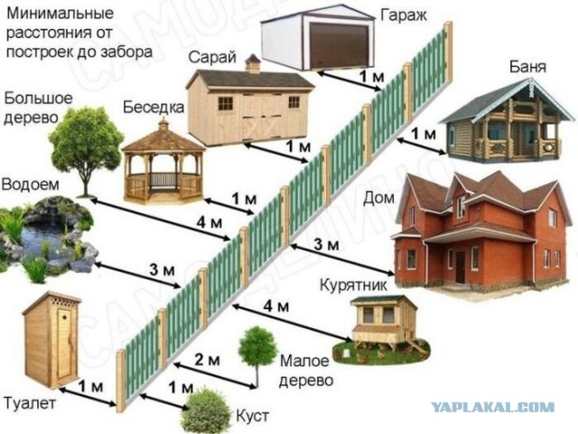 На Урале чиновники срубили ёлку на садовом участке местной жительницы, чтобы установить дерево на главной площади города Миньяр