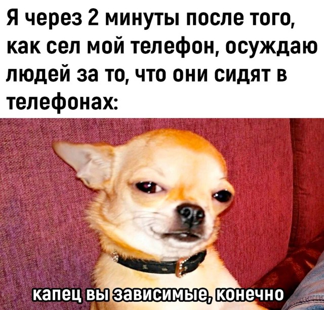 Всего понемногу. От 17.01.24