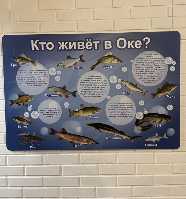 Деревня Константиново. Рязанская область