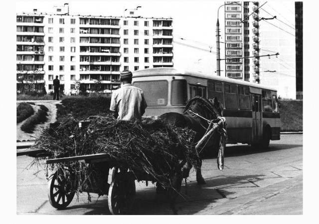 Москва и москвичи. Двадцатый век. 14.01.25