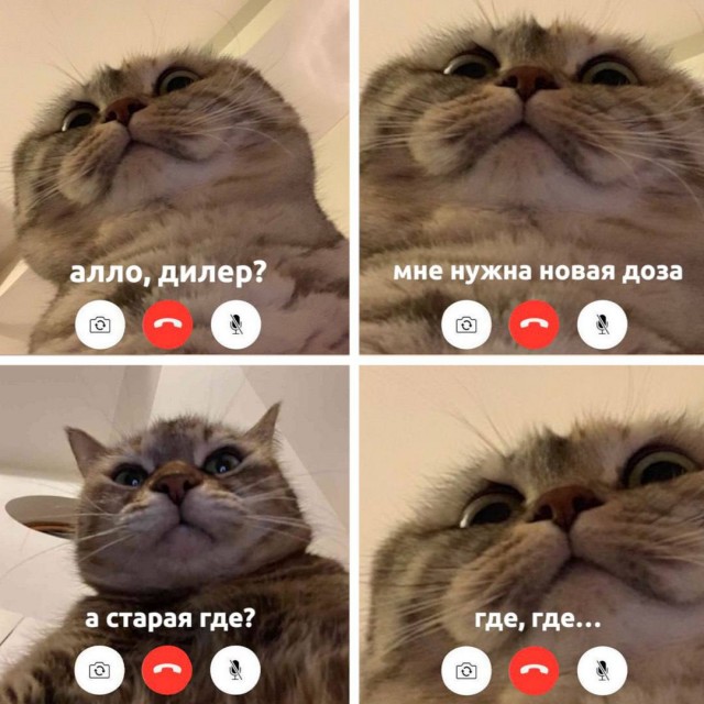 Уфимку с наркотой во влагалище задержали полицейские