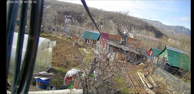 Разбавим политоту и жесть природой