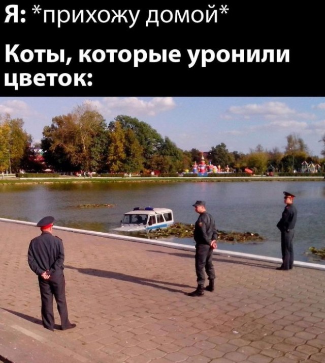 Веселые картинки в первый день июля (01.07)