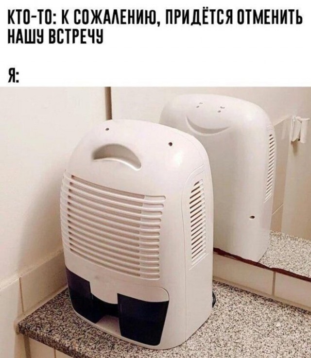Веселые картинки в маленькую пятницу (20.08)