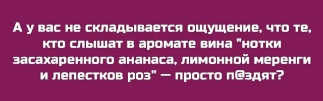 Картинки 26.08.25
