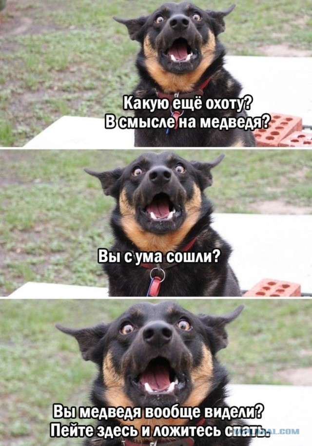 Что пить господа?