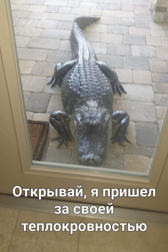 Среда обитания 0.1