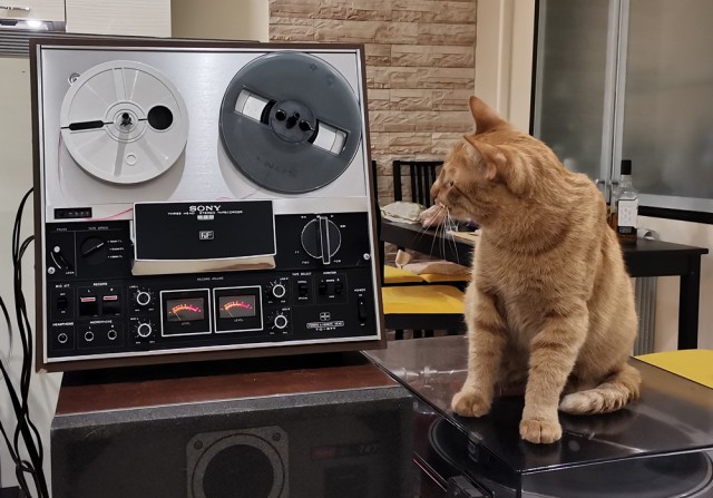 Аудиотехника прошлого века, Technics X320