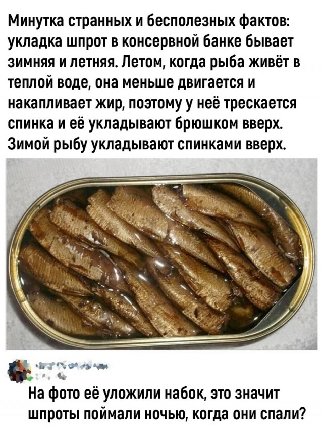 Так себе картинки 22.11.25