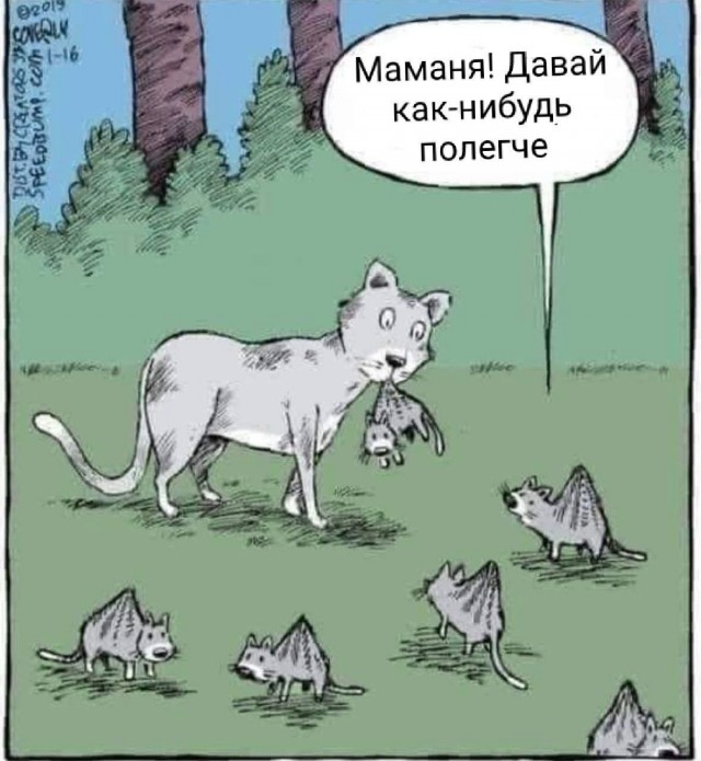 Так себе картинки 07.12.25