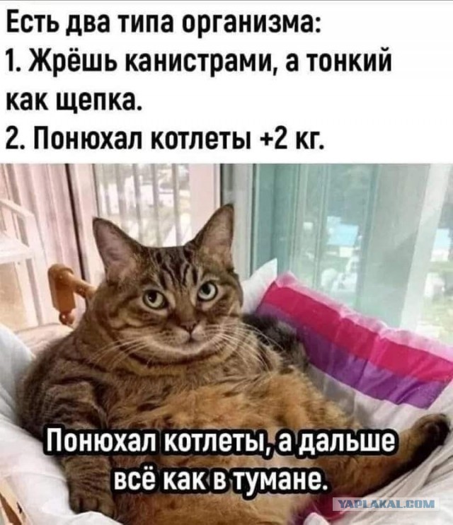 Жирновое