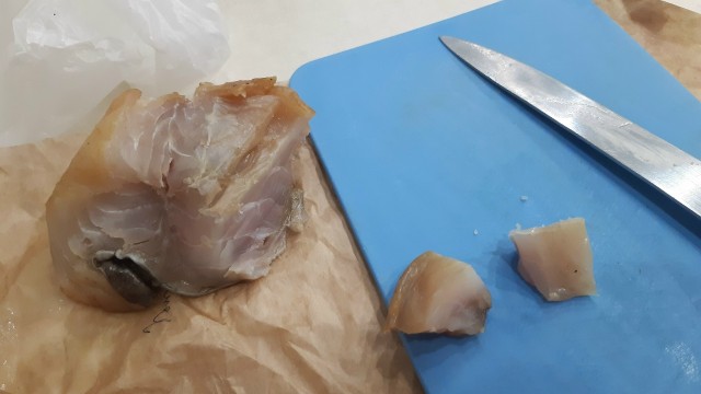 Сомы-людоеды: Бывает ли такое или это байки весёлых рыбаков?